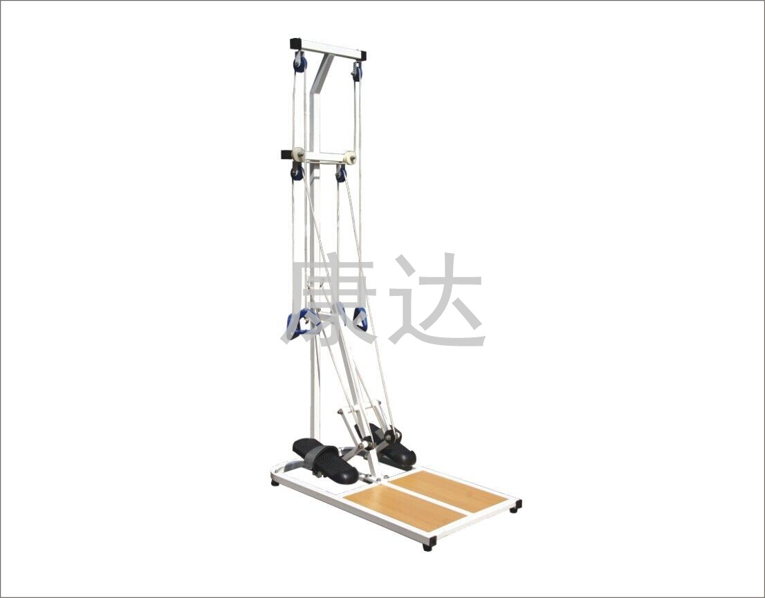 hemiparalysis recovery apparatus